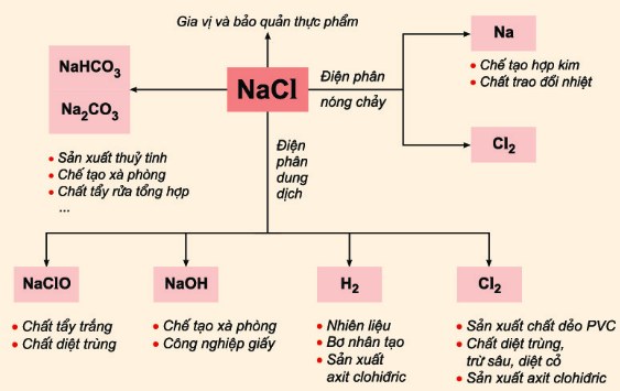 Muối Natri Clorua NaCl, Kali nitrat KNO3 tính chất và ứng dụng - Lý thuyết Hóa 9 bài 10