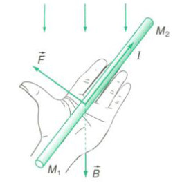 Quy tắc bàn tay trái xác định chiều của lực từ