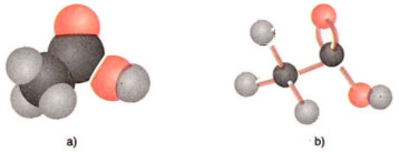 Mô hình phân tử axit axetic dạng đặc và rỗng