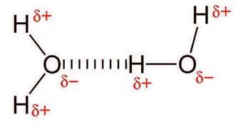 Liên kết hydrogen được hình thành như thế nào, Liên kết hydogen là liên kết mạnh hay yếu