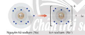 Quá trình hình thanh ion Na+