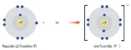 Sự hình thành ion âm F- Hóa 10 bài 8