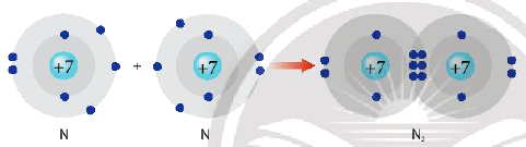 Sự hình thành liên kết trong phân tử nitrogen (N2)