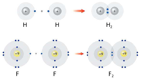 Sự hình thành phân tử Hydrogen và Fluorine
