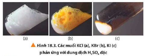 Các muối KCl, KBr và KI phản ứng với H2SO4 đặc Hoá 10 bài 18