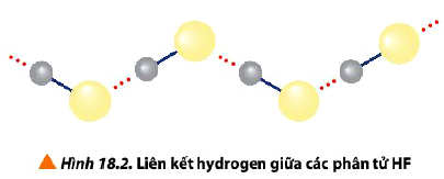 Liên kết Hydrogen giữa các phân tử HF Hoá 10 bài 18
