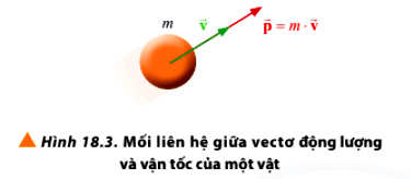 Mối liên hệ giữa vectơ động lượng và vận tốc của vật