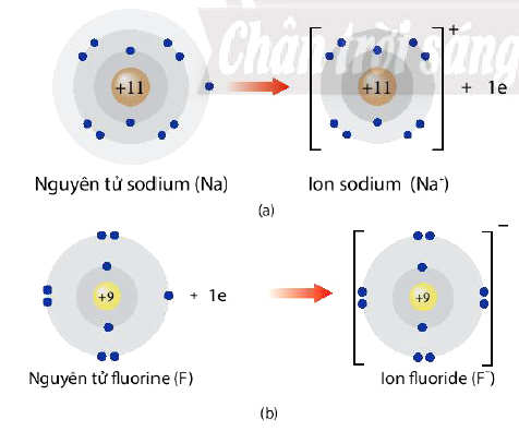 Quá trình nhường nhận electron của nguyên tử Sodiu và fluorine