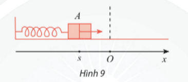 Bài 6 trang 41 Toán 11 tập 1 SGK Chân trời sáng tạo