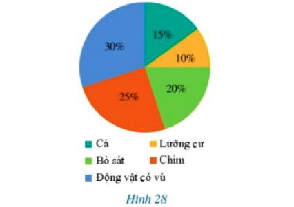 Bài 5 trang 18 Toán 8 Tập 2 Cánh Diều