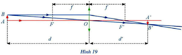 Bài 8 trang 80 Toán 11 tập 1 SGK Cánh Diều: