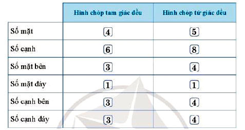 Giải bài 1 trang 88 Toán 8 Tập 1 SGK Cánh Diều