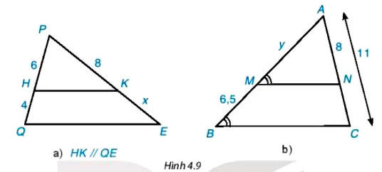 Bài 4.1 trang 80 Toán 8 Tập 1 Kết nối tri thức