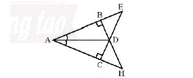 Áp dụng các trường hợp bằng nhau của tam giác vuông