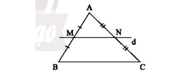 Đường trung bình trong tam giác