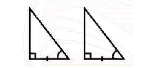 Trường hợp 2: cạnh góc vuông và góc nhọn kề cạnh đó