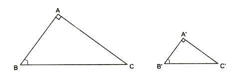 Trường hợp đồng dạng thứ ba (đồng dạng góc nhọn) của tam giác vuông
