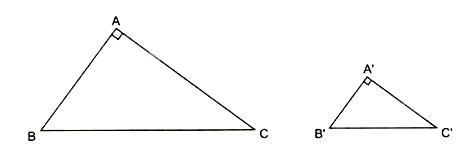 Trường hợp đồng dạng thứ Hai của tam giác vuông