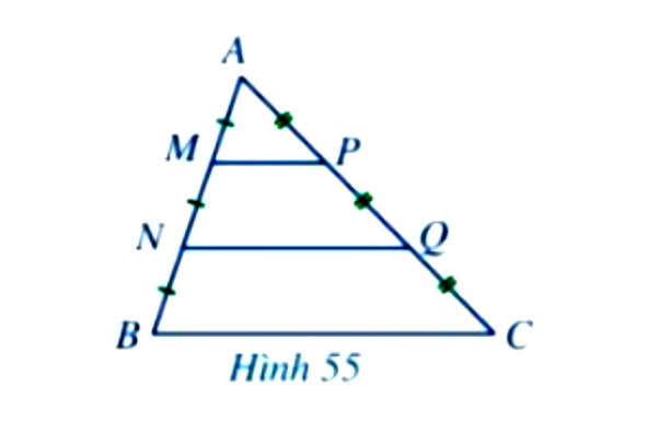 bài 5 trang 73