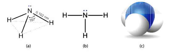 Cấu tạo phân tử của Amomonia