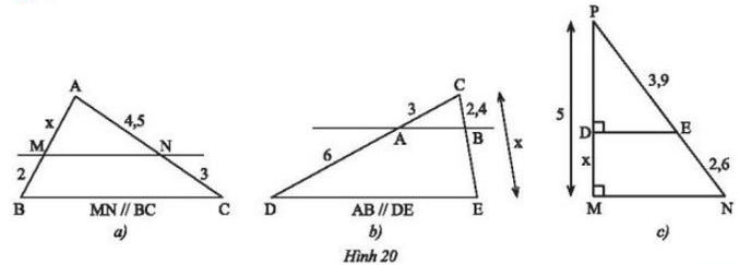 Bài 2 trang 49 Toán 8 Tập 2 Chân trời sáng tạo