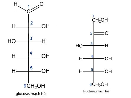 Công thức cấu tạo của Glucose và Fructose mạch hở