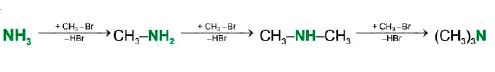 Điều chế Amine bằng cách Alkyl hóa ammonia