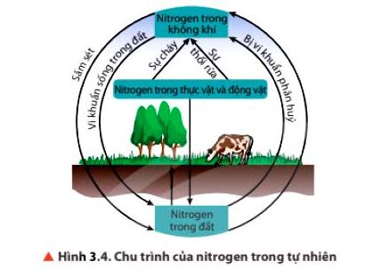 Hóa 11 trang 22 Chân trời sáng tạo: Câu hỏi thảo luận 7