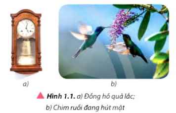 Vật Lí 11 trang 5 Chân trời sáng tạo: Mở đầu