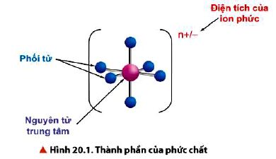 Giải Hóa 12 trang 116 Chân trời sáng tạo: Thảo luận 1