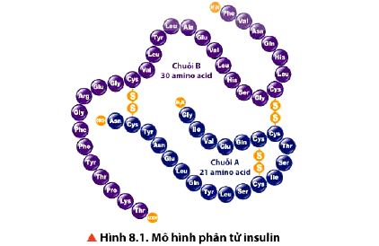 Hóa 12 trang 45 Chân trời sáng tạo: Thảo luận 2