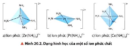 Giải Hóa 12 trang 116 Chân trời sáng tạo: Thảo luận 2