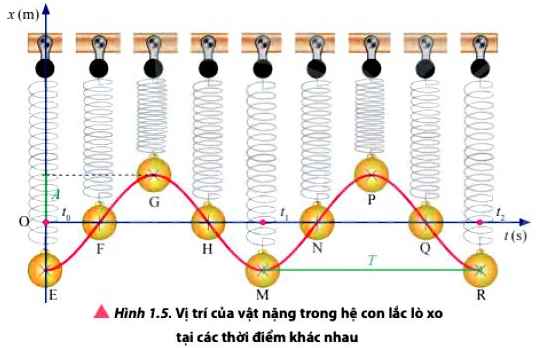 Vật Lí 11 trang 8 Chân trời sáng tạo: Thảo luận 5