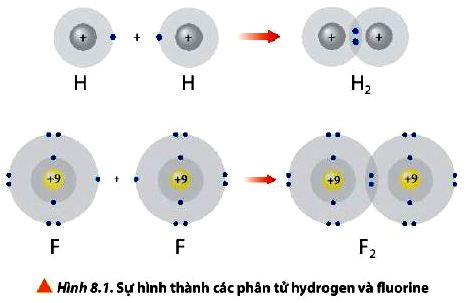 Hóa 10 trang 52 Chân trời sáng tạo: Câu hỏi 1