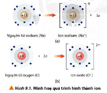 Câu hỏi 1 Hóa 10 trang 55 Chân trời sáng tạo