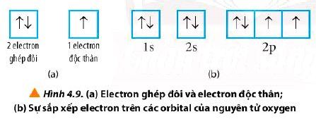 Câu hỏi 10 trang 30 Hóa 10 Chân trời sáng tạo