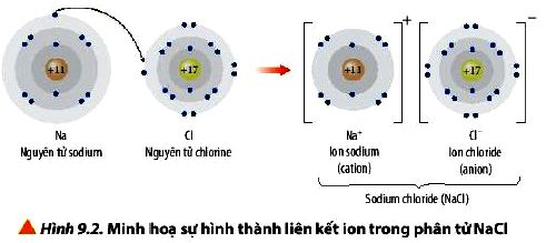 Câu hỏi 5 Hóa 10 trang 56 Chân trời sáng tạo