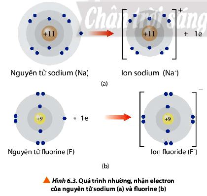 Câu hỏi 5 trang 45 Hóa 10 Chân trời sáng tạo