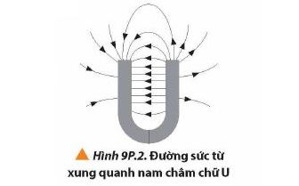 Bài 4 trang 65 Vật Lí 12 Chân trời sáng tạo