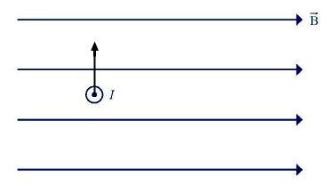 Giải Luyện tập Vật Lí 12 trang 69 Chân trời sáng tạo