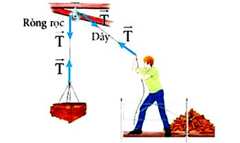 Giải Luyện tập trang 70 Vật Lí 10 Chân trời sáng tạo