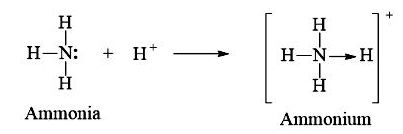 Liên kết cho – nhận trong ion NH4+