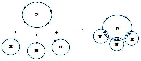 liên kết cộng hóa trị trong phân tử NH3