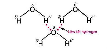 Liên kết hydrogen