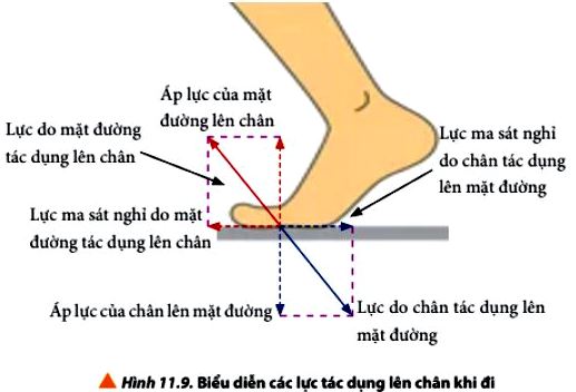 Luyện tập Vật Lí 10 trang 69 Chân trời sáng tạo