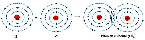 Phân tử Chlorine