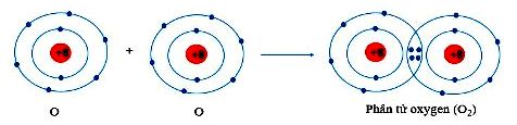 Phân tử Oxygen