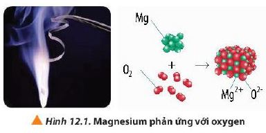 Phản ứng giữa magnesium và oxygen