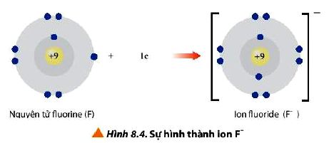 Sự hình thành ion F-