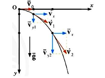 Giải Thảo luận 2 trang 51 Vật Lí 10 Chân trời sáng tạo